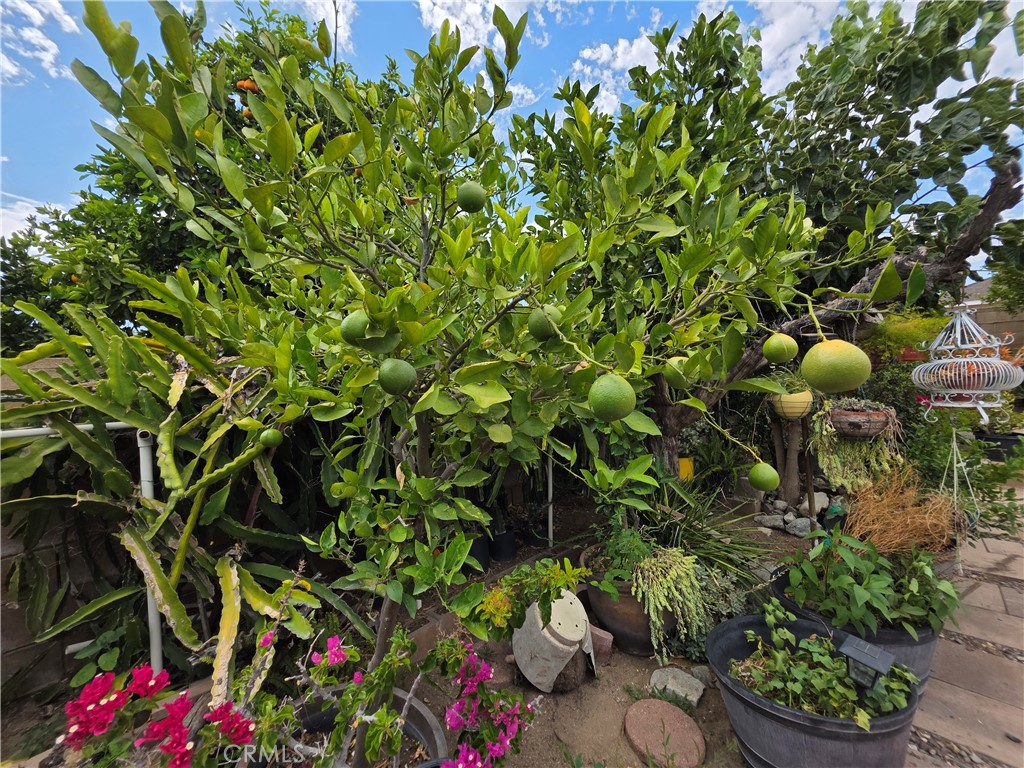 main property photo 59