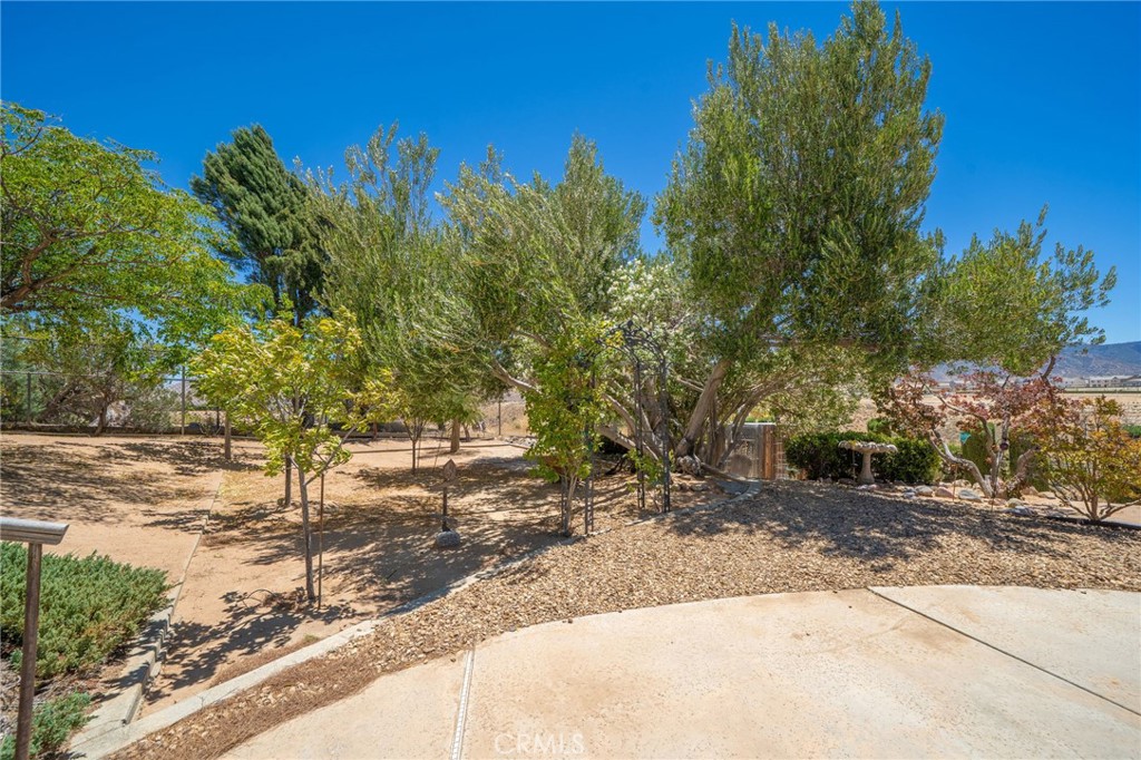 main property photo 48