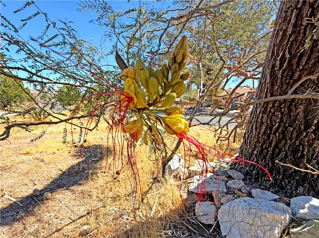 main property photo 29