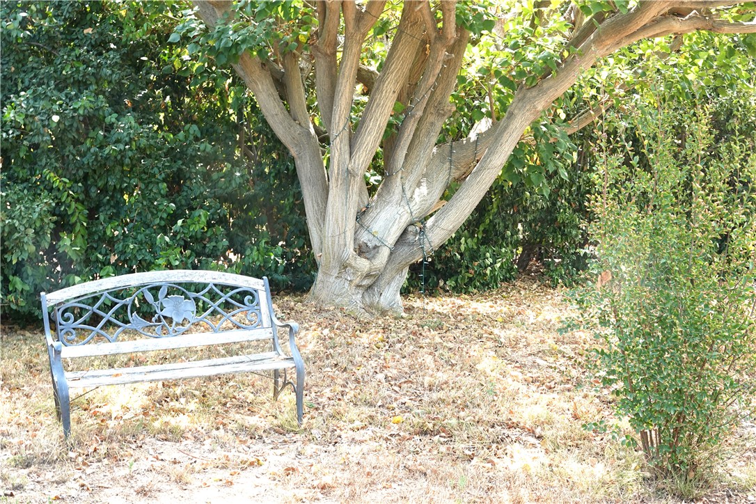 main property photo 48