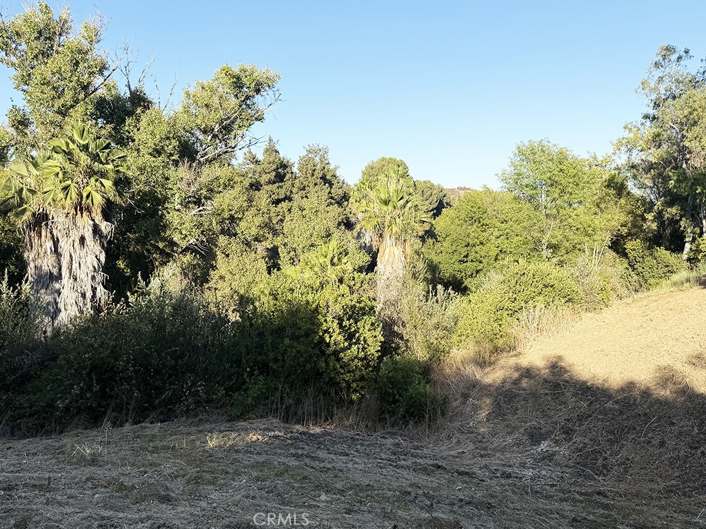 main property photo 56
