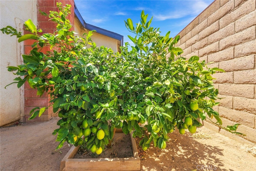 main property photo 41