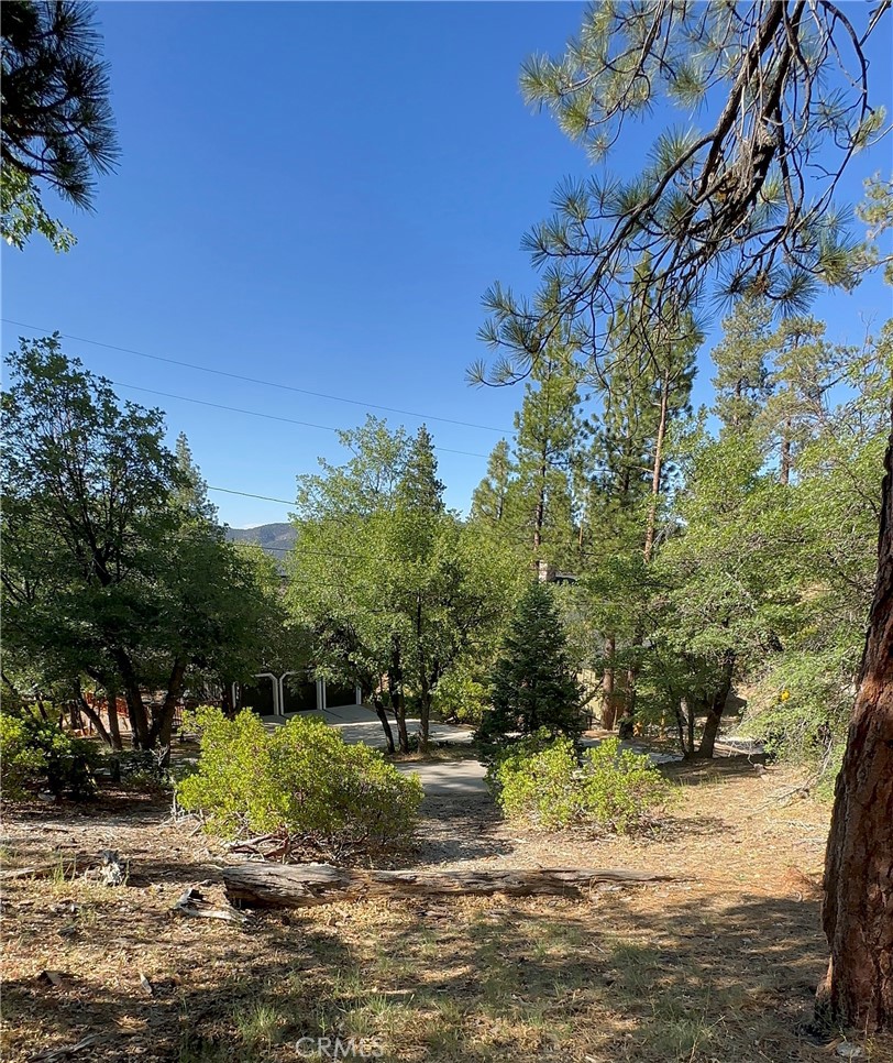main property photo 8