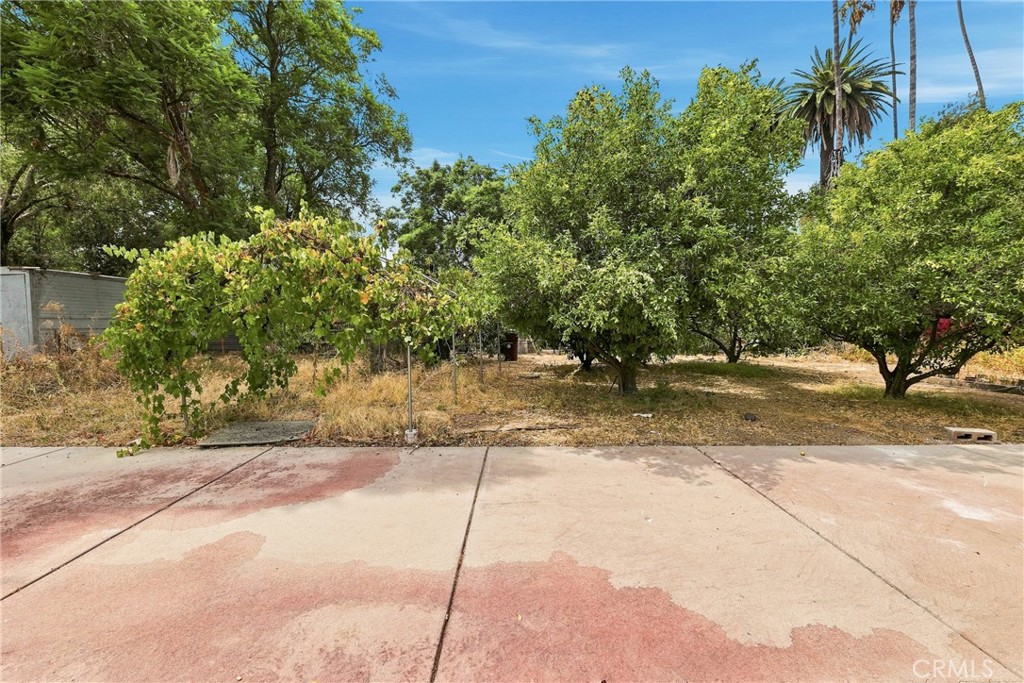 main property photo 50