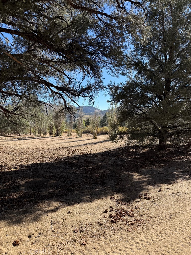 main property photo 54