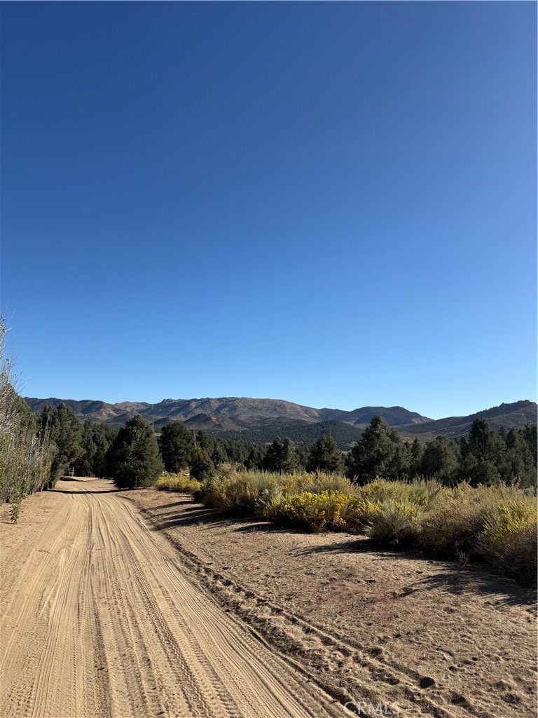 main property photo 58