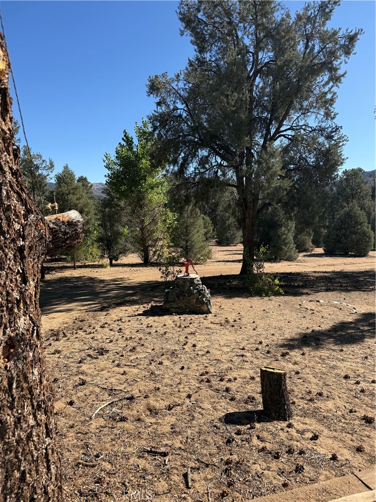 main property photo 61
