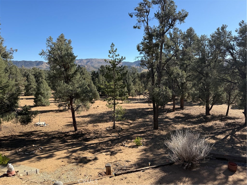 main property photo 67