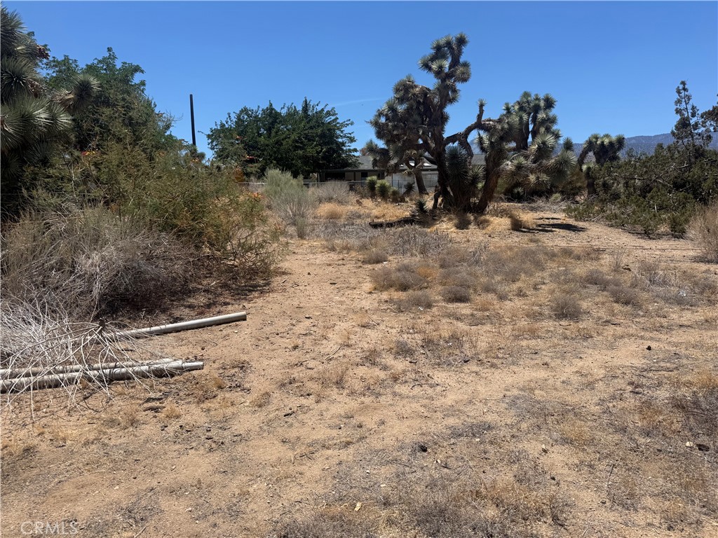 main property photo 3