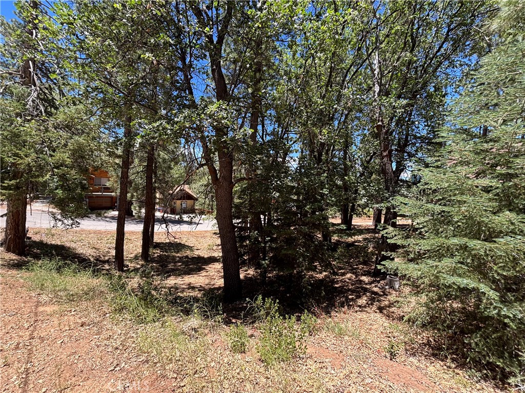 main property photo 6