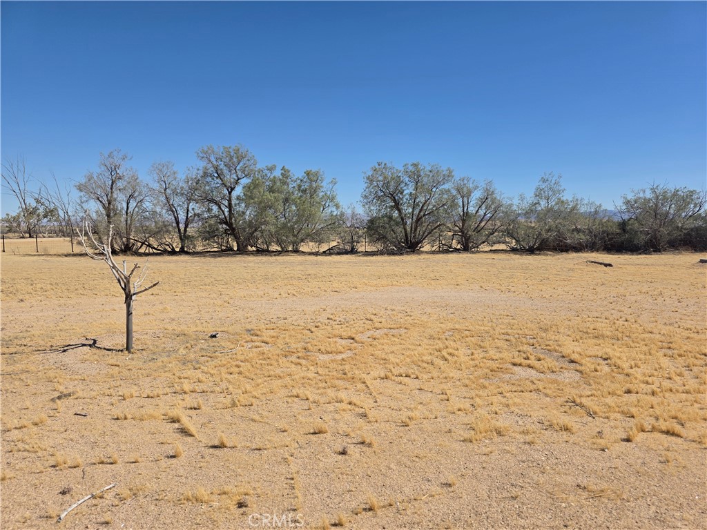 main property photo 6
