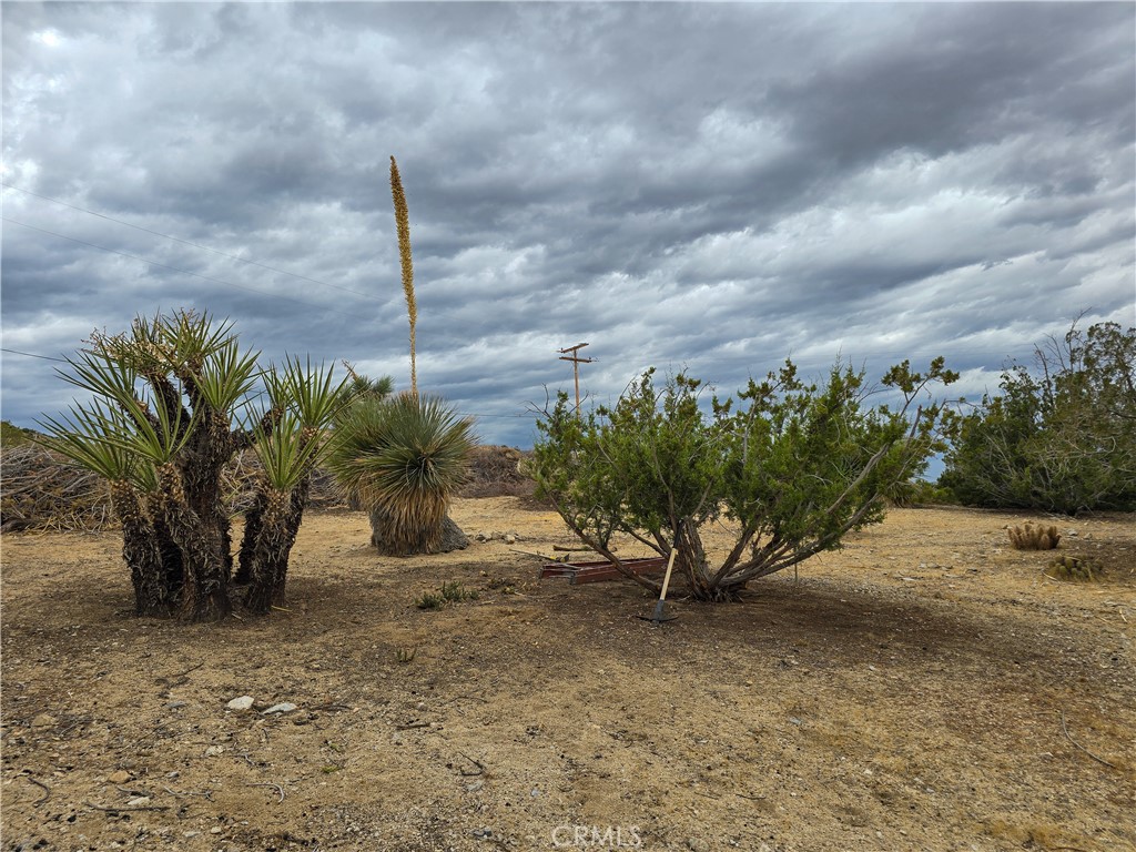 main property photo 71