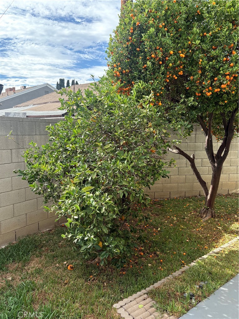 main property photo 61
