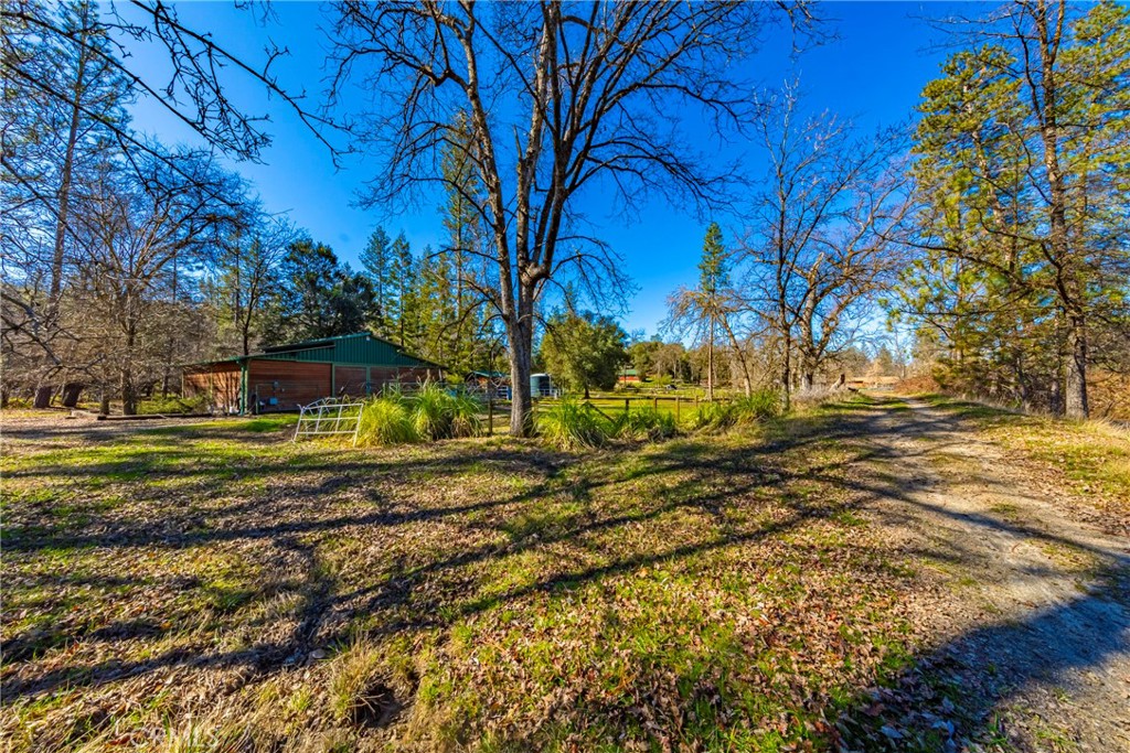 main property photo 6