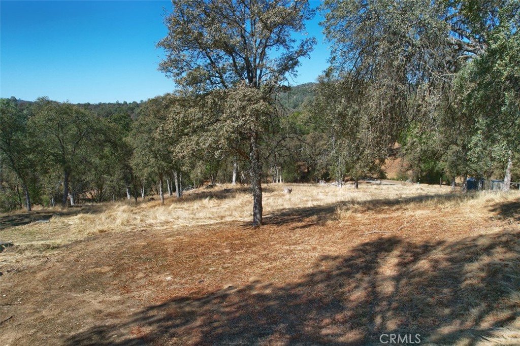 main property photo 43