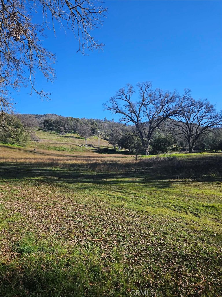 main property photo 47