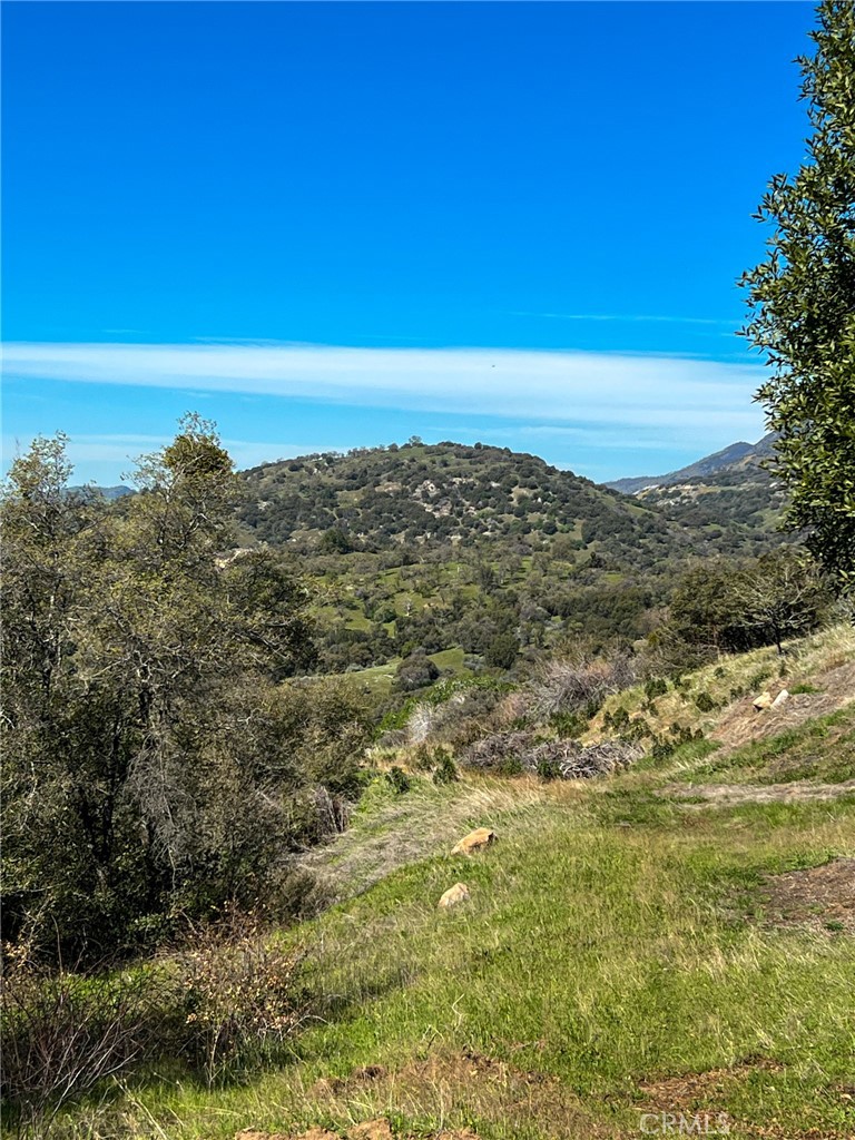 main property photo 47