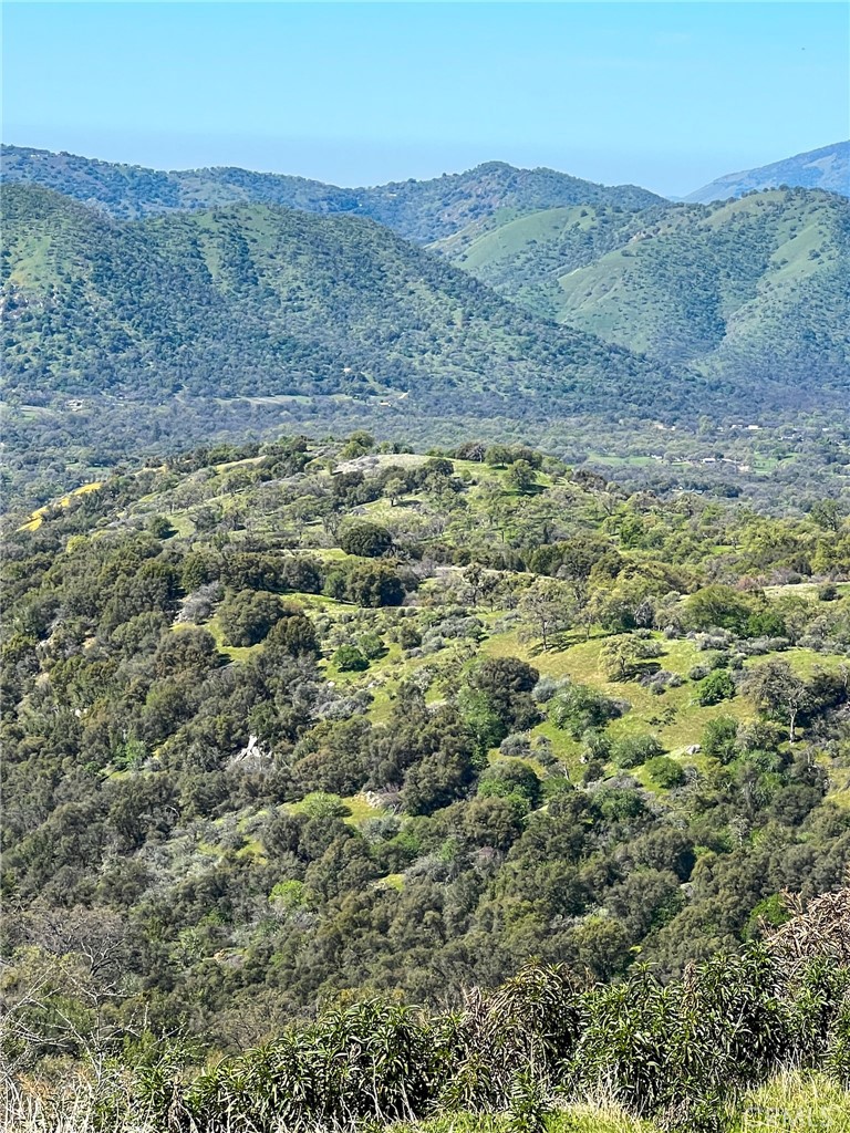 main property photo 58