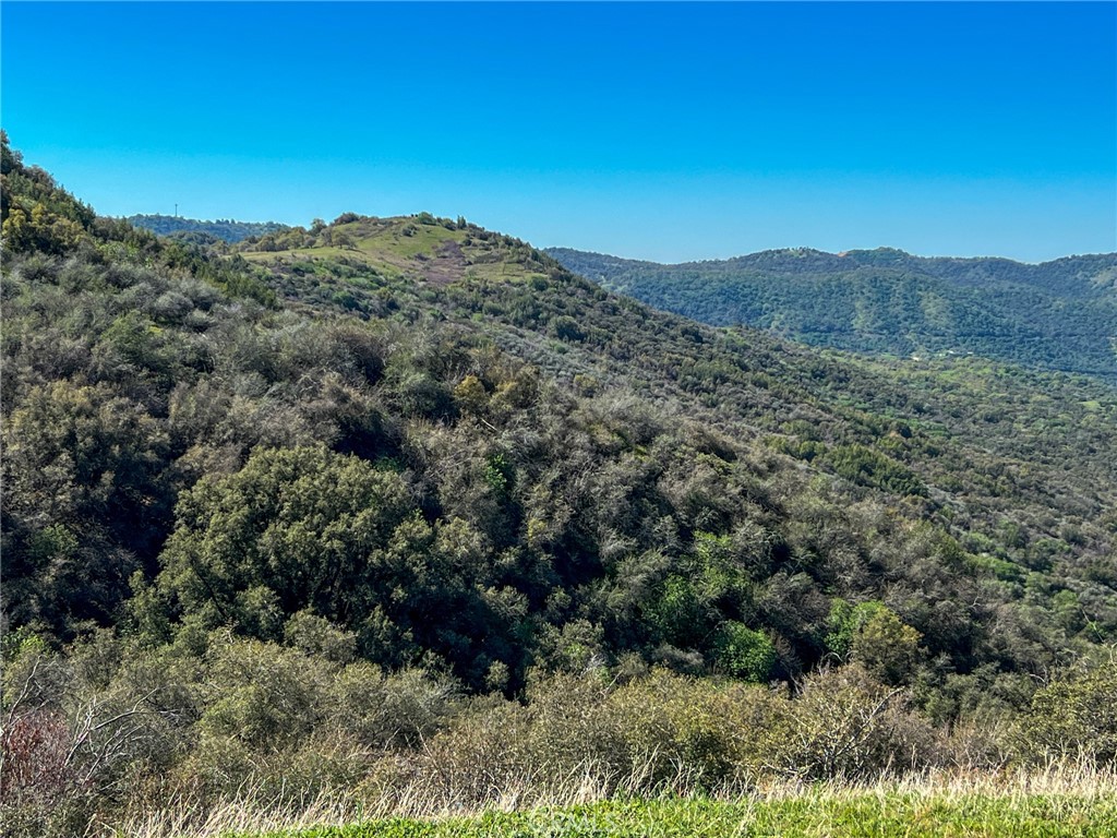 main property photo 59