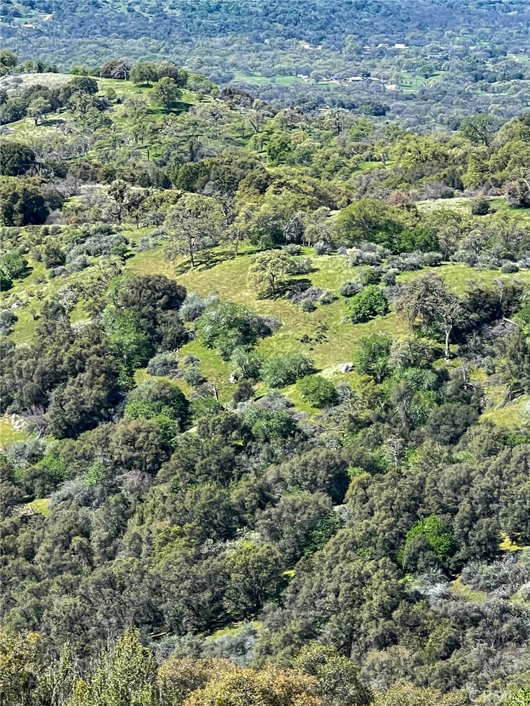 main property photo 61
