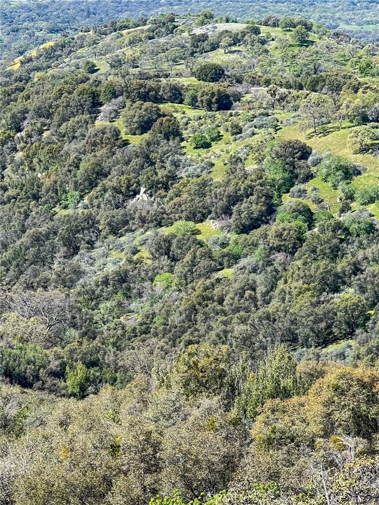 main property photo 64