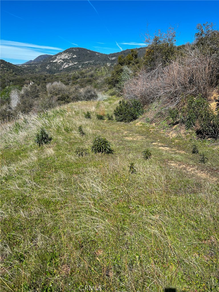 main property photo 71