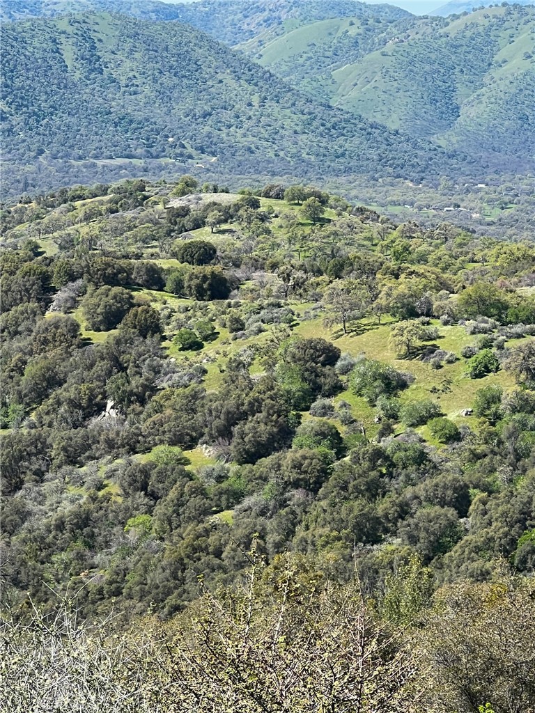 main property photo 72