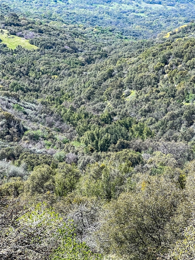 main property photo 73
