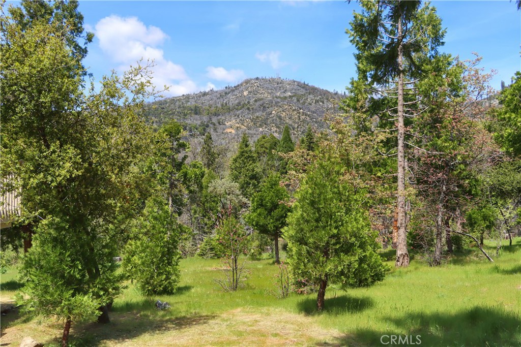 main property photo 58