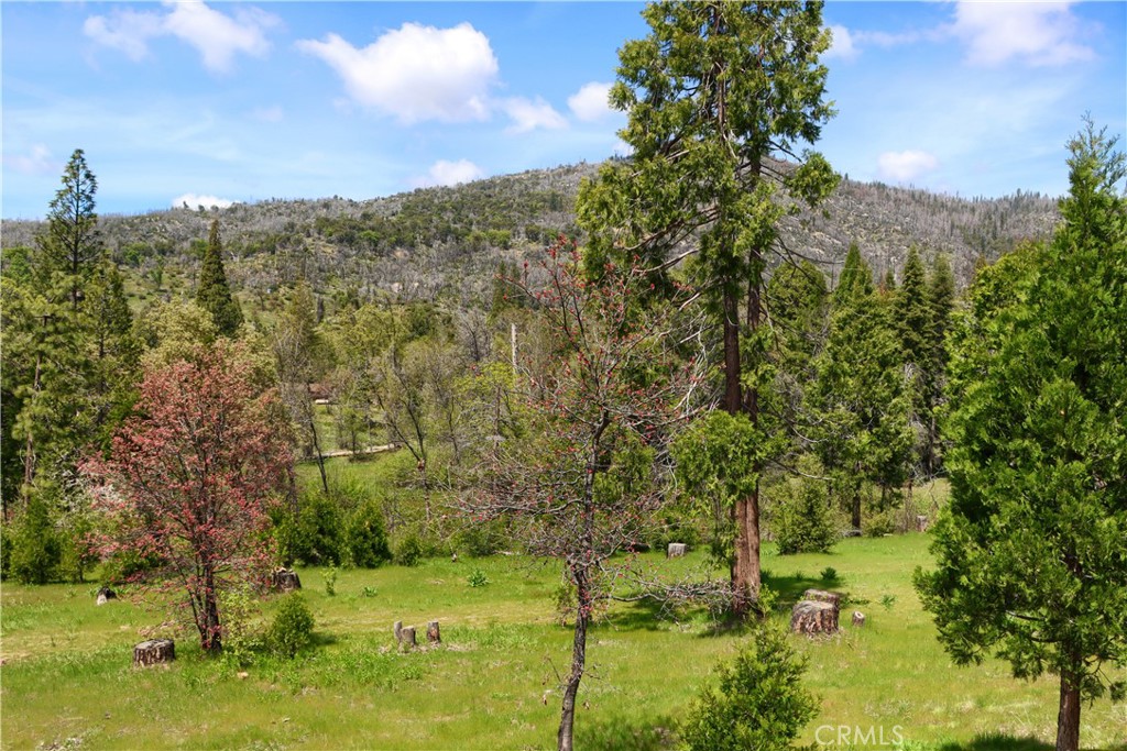 main property photo 59