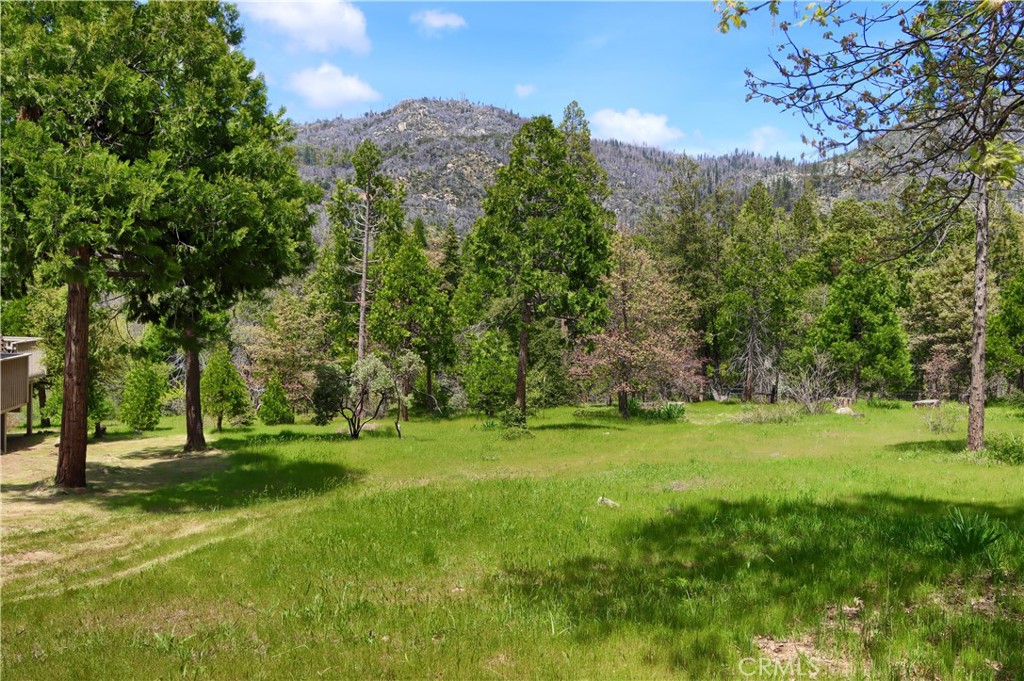 main property photo 67