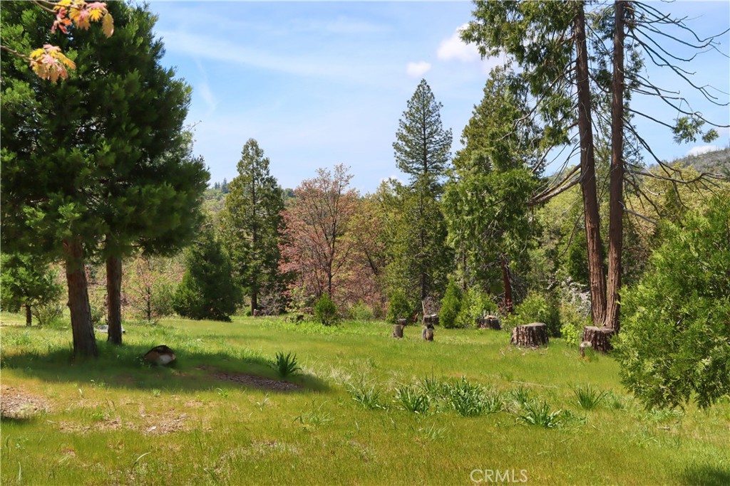 main property photo 68