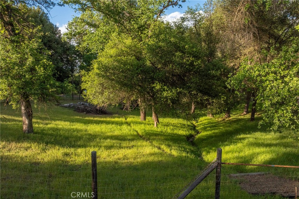 main property photo 72