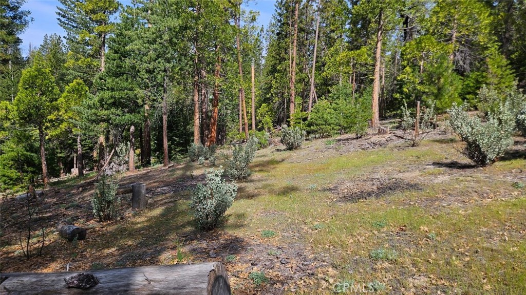 main property photo 64