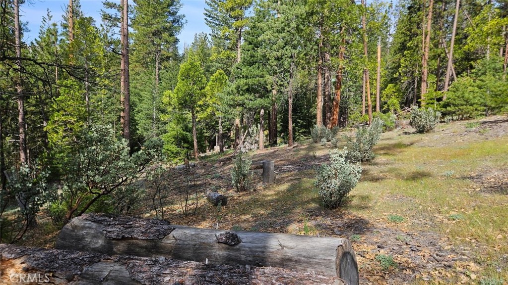 main property photo 65