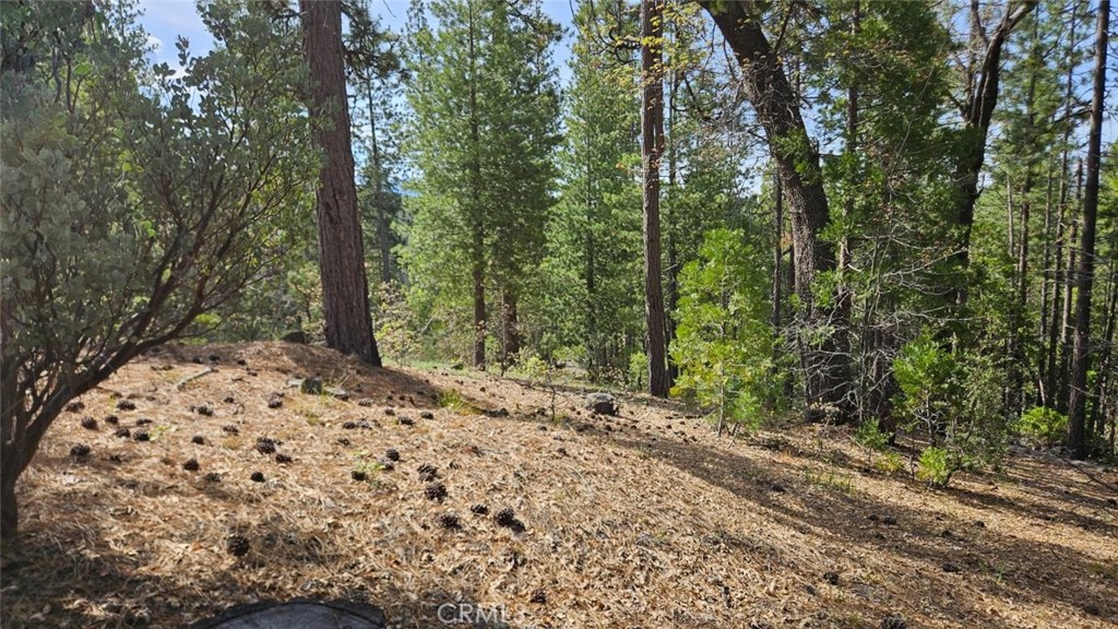 main property photo 67