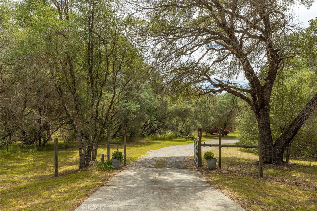 main property photo 45