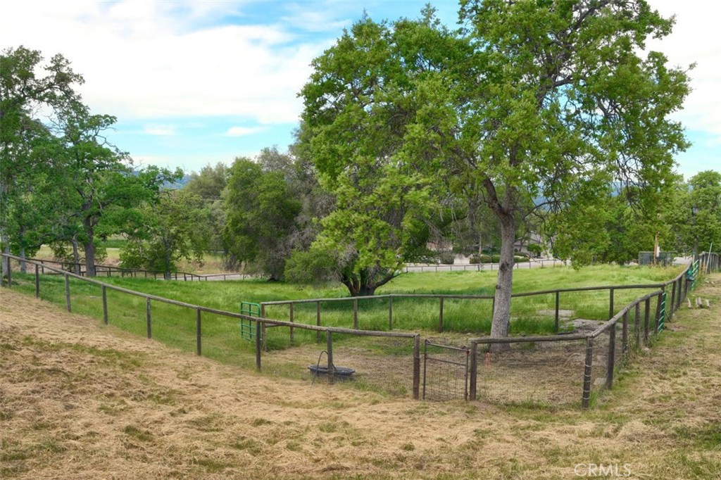 main property photo 54
