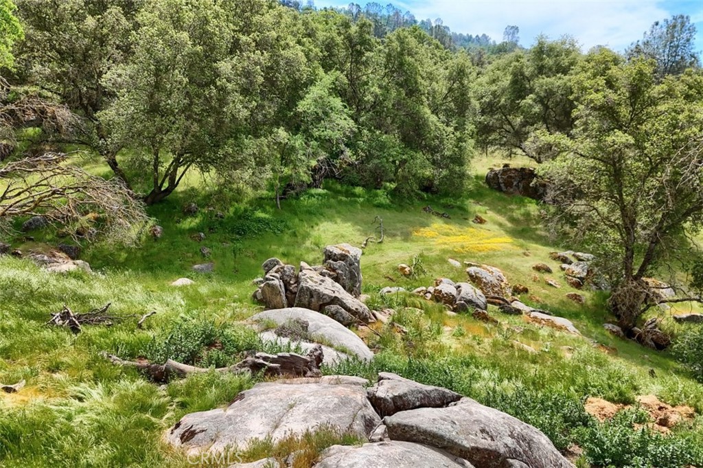main property photo 62