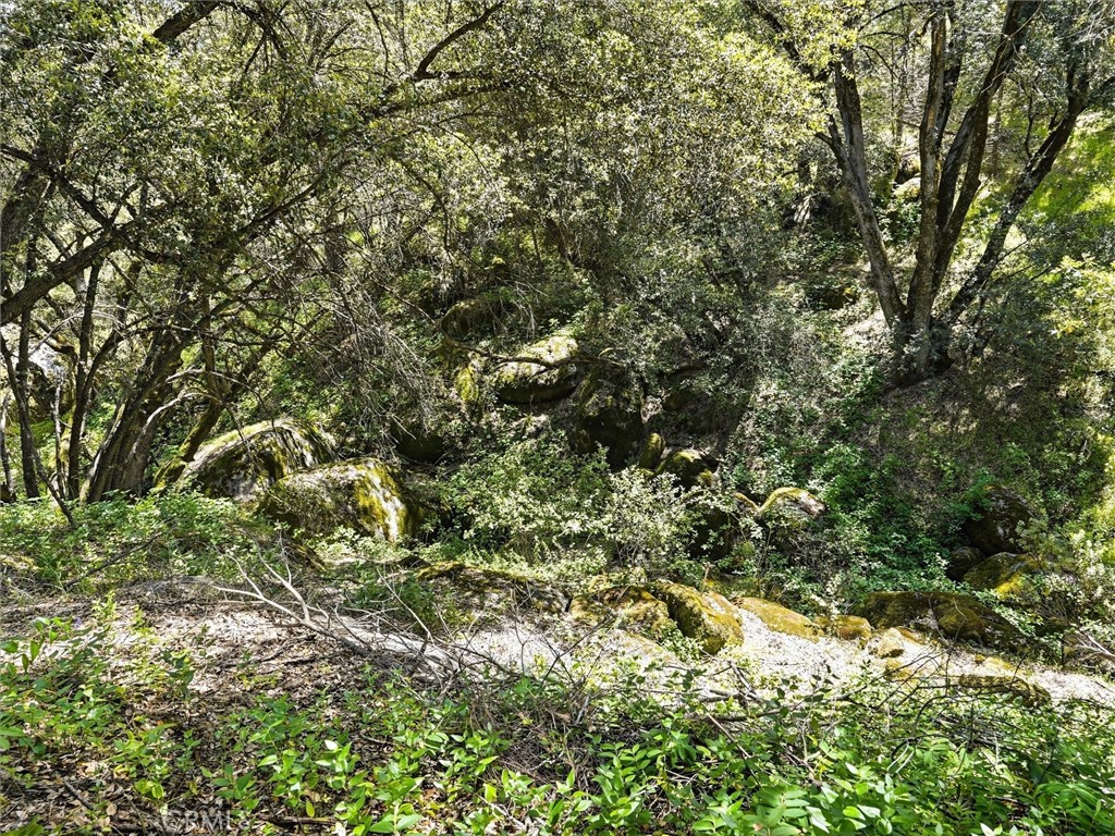 main property photo 58