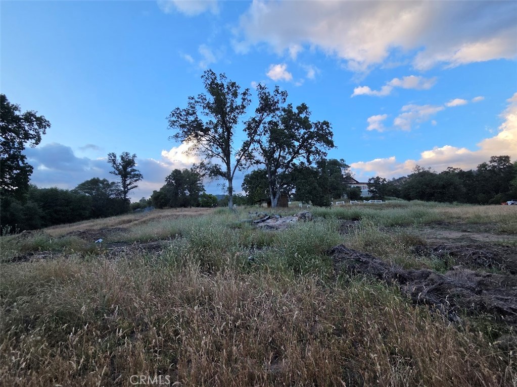 main property photo 28