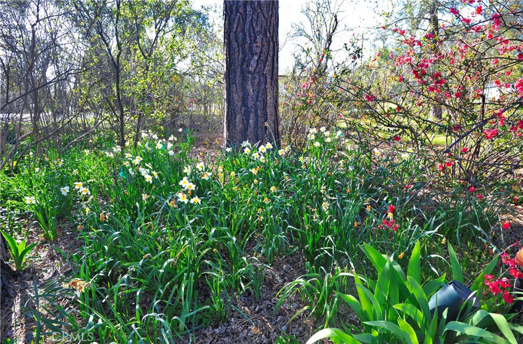 main property photo 51