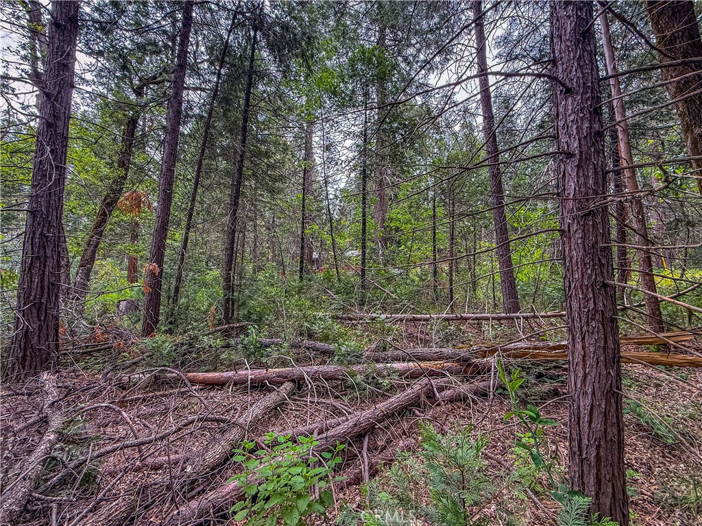 main property photo 12
