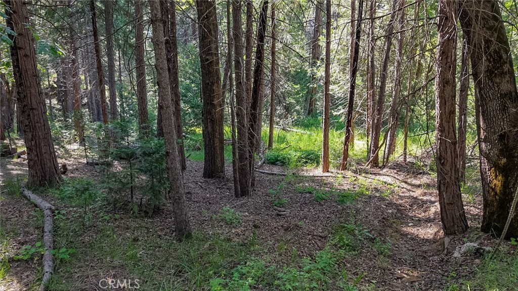 main property photo 13