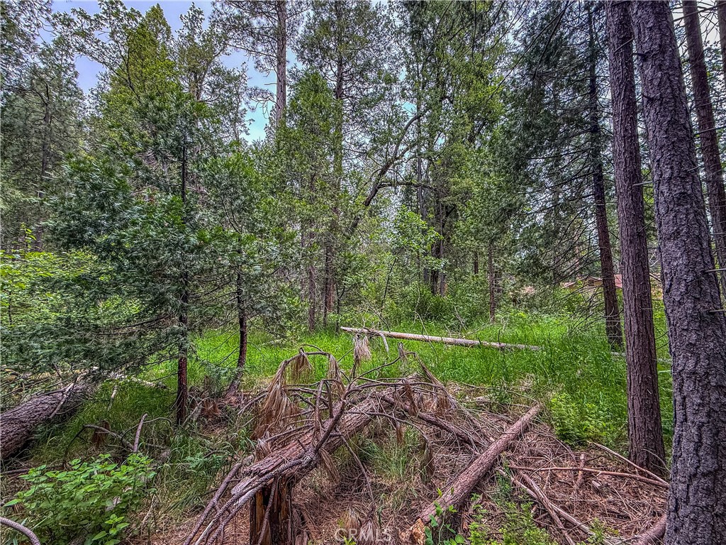 main property photo 21