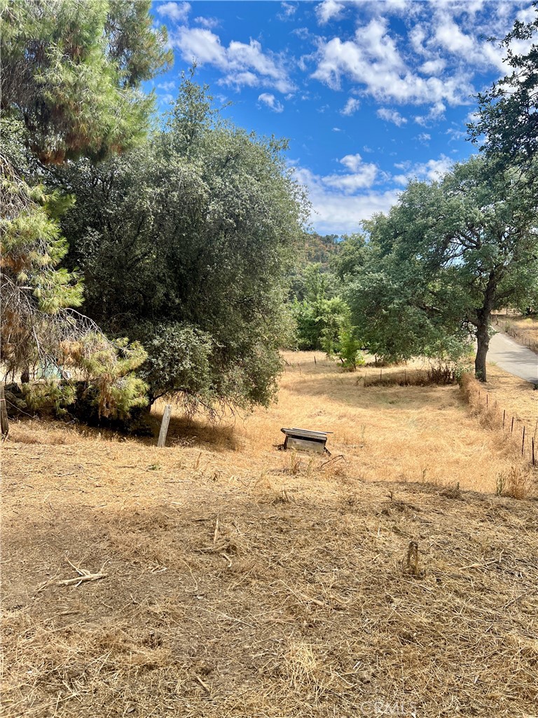 main property photo 38