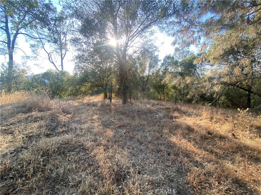 main property photo 12