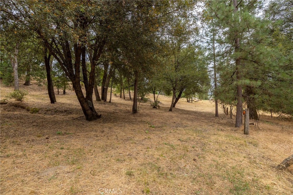 main property photo 48