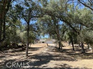 main property photo 46