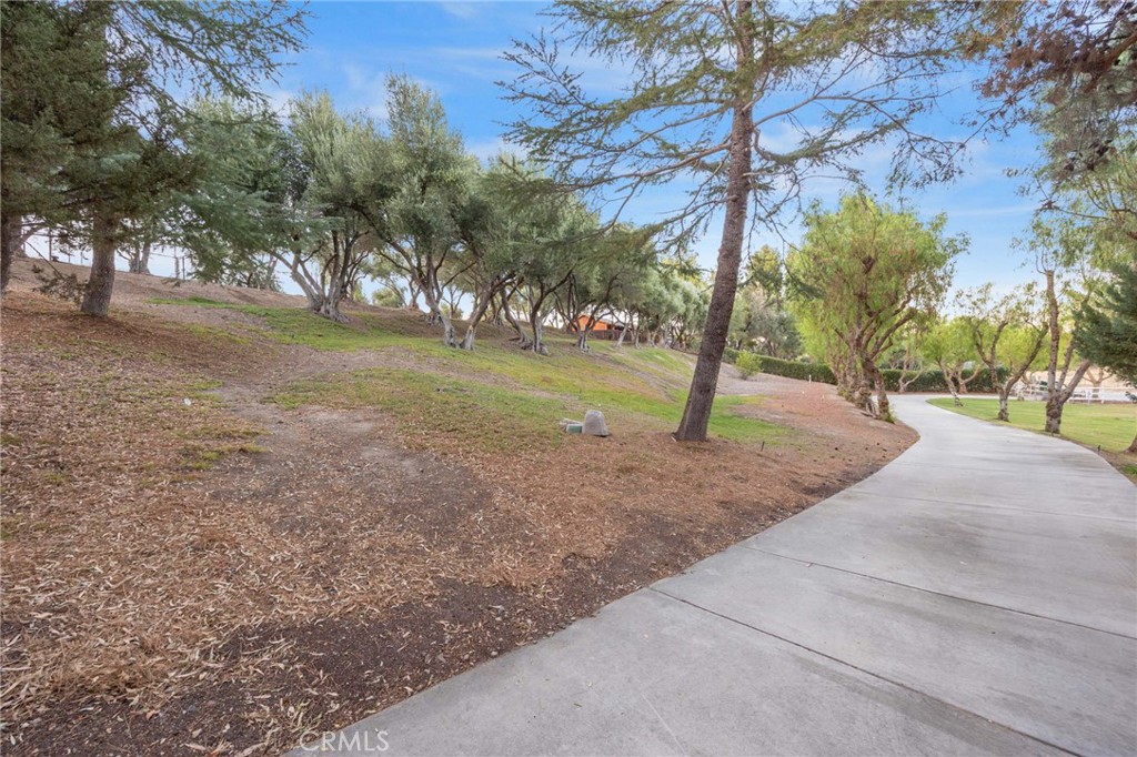 main property photo 54